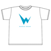 white/blue